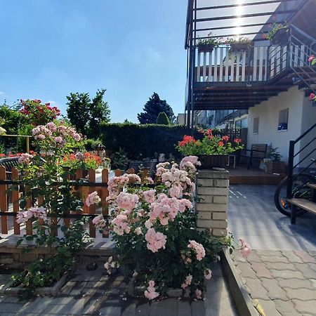 David Home 56 Зноймо Экстерьер фото