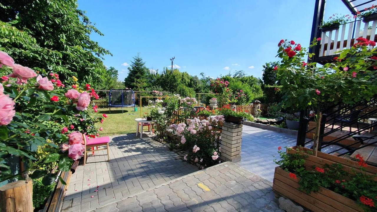 David Home 56 Зноймо Экстерьер фото