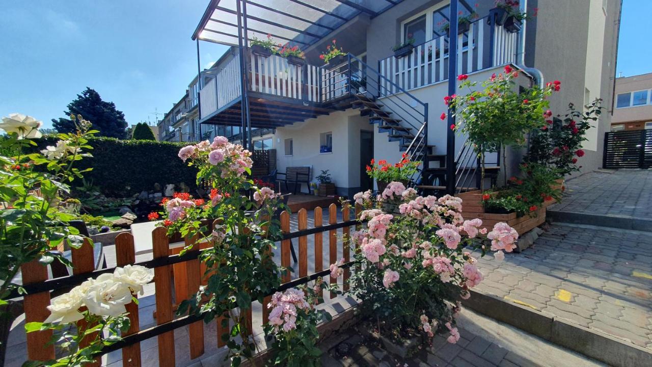 David Home 56 Зноймо Экстерьер фото